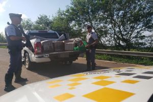 PM Rodoviária prende motorista com mais de uma tonelada de maconha