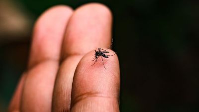 Casos de dengue despencam 98% em São Carlos em comparação com 2025