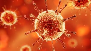 Casos de COVID-19 voltam a crescer em São Carlos e novembro tem 899 notificações