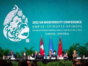 Países se comprometem a preservar 30% da biodiversidade do planeta em acordo considerado histórico