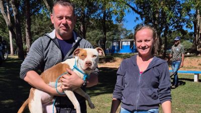 Feira de Adoção garante novo lar para 14 cães em São Carlos
