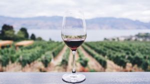 Acirp apoia Encontro de Turismo que discute potencial vitivinicultor da região