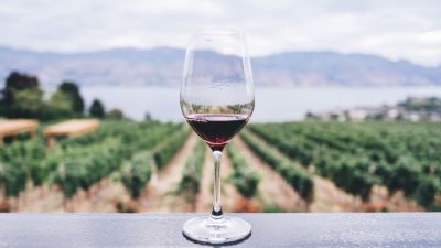 Acirp apoia Encontro de Turismo que discute potencial vitivinicultor da região