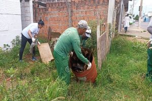 Prefeitura de Ibaté adere ao “Dia D Estadual de combate à Dengue” e realiza ação no Jardim Cruzado