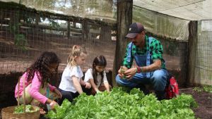 Dia das Crianças em Brotas tem natureza, diversão e experiências para toda a família