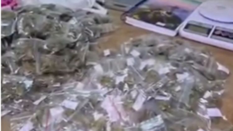 Denúncia leva PM a descobrir depósito de drogas em área rural de Porto Ferreira