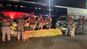 PM Rodoviária apreende quase 100 kg de skunk em Presidente Prudente
