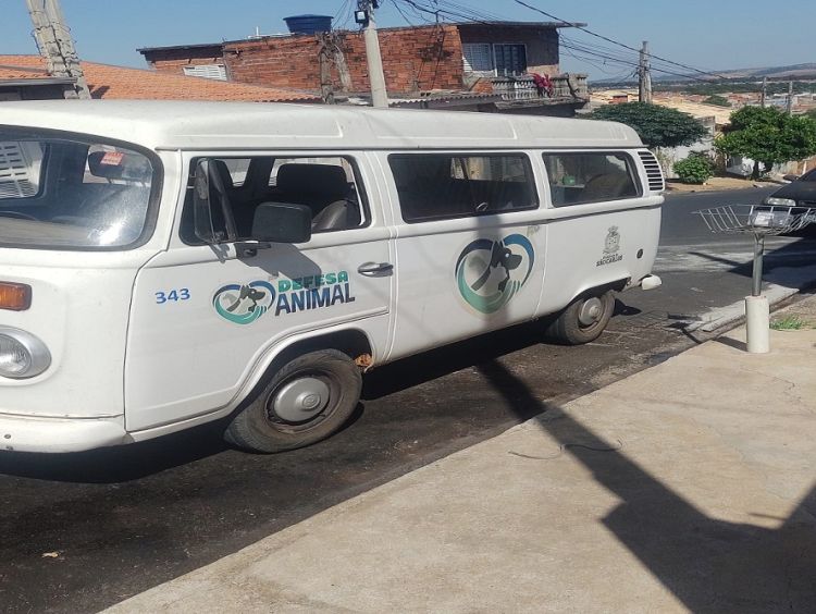 Cenas Fortes: Cães se atacam para matar a fome no Cidade Aracy