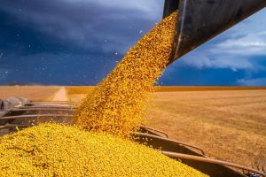 Polônia diz que manterá embargo sobre produtos da Ucrânia para não prejudicar seus agricultores