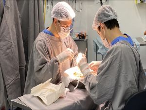 HU-UFSCar realiza primeira captação de órgãos e tecidos para transplantes