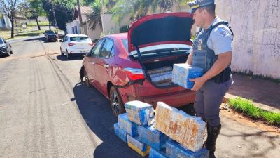 Polícia Rodoviária apreende quase 160 kg de maconha