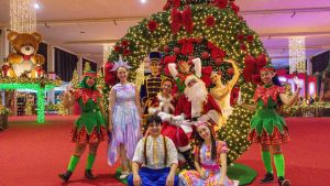 NATAL DE HOLAMBRA by EXPOFLORA: o mais ENCANTADOR e MÁGICO do Estado de São Paulo