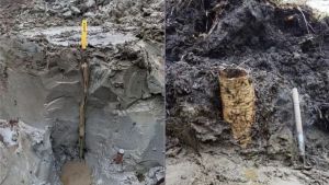 &#039;Cápsula do tempo pré-histórica&#039;: tesouro de 5 mil anos é achado em pântano