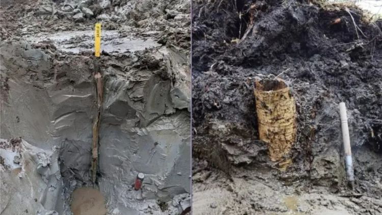 &#039;Cápsula do tempo pré-histórica&#039;: tesouro de 5 mil anos é achado em pântano