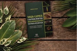 Livro apresenta pela 1ª vez a riqueza de vaga-lumes da Mata Atlântica