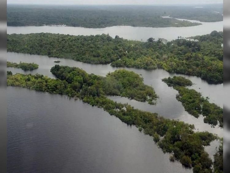 Fundo Amazônia recebe R$ 3,3 bilhões em doações