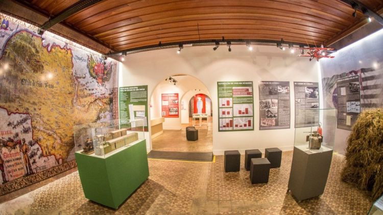 20ª Primavera dos Museus tem programação especial no museu de São Carlos