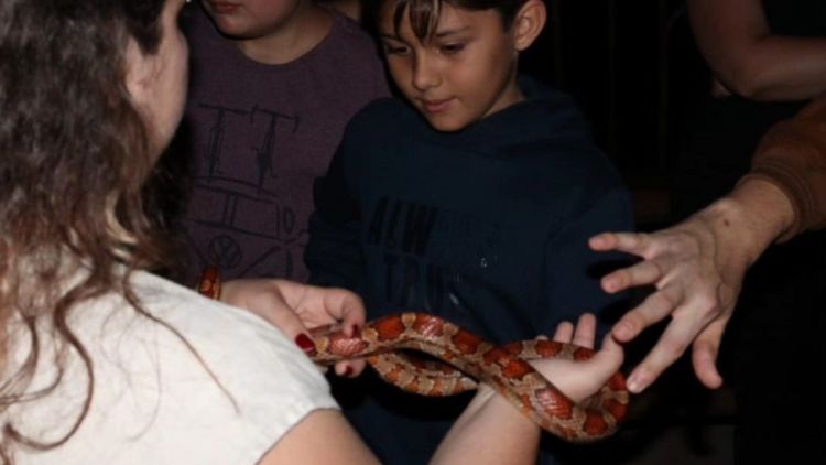 Parque Ecológico abre inscrições para passeio noturno junino