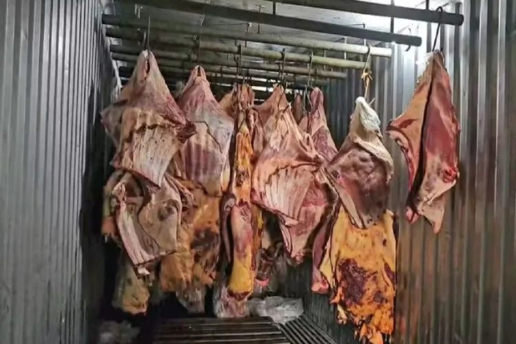 Empresa vendeu 800 toneladas de carne podre submersa na enchente do RS