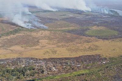 Emissão de gases por incêndios é recorde em dois estados