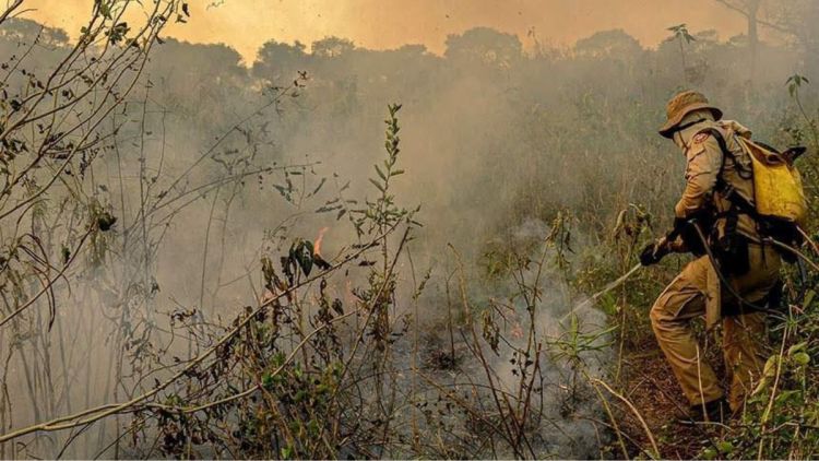 Comunidades criam soluções para mitigar efeitos da crise climática