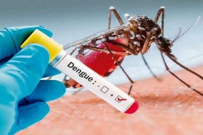 SÃO CARLOS: Confira os casos de dengue, zika, chikunguya e febre amarela em 2024