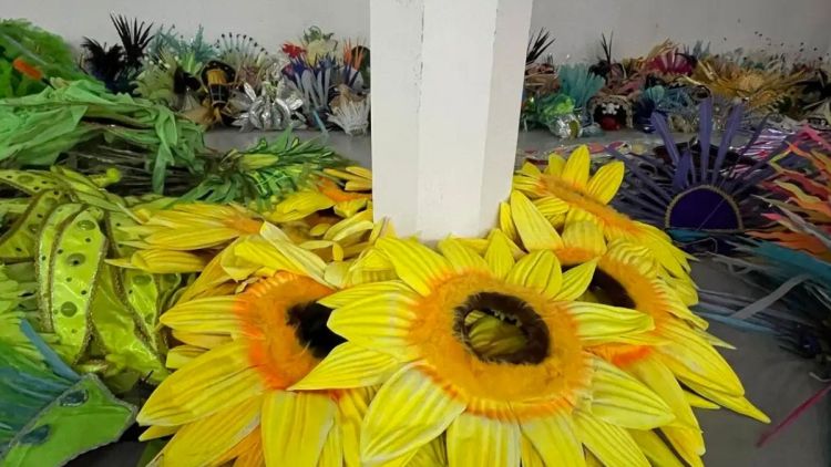 Projeto reaproveita fantasias da Sapucaí para novos foliões