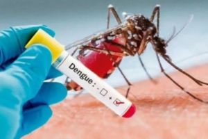 Confira os casos de Dengue, Zika, Chikungunya e Febre Amarela em São Carlos