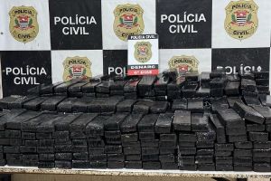 Polícia Civil encontra meia tonelada de maconha escondida em carga de milho em SP