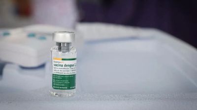Butantan mantém estudo sobre vacina da dengue em idosos