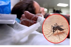 Sobe para 1.678 casos positivos de dengue em São Carlos