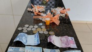 Ação com cão farejador localiza drogas escondidas em terreno na Vila Marcelino