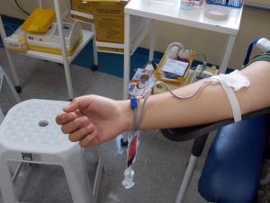 Banco de sangue da Santa Casa precisa de doações