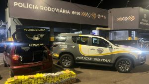 PM apreende mais de 200 kg de droga em rodovia no interior paulista