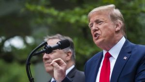 Além de Moraes, Trump revoga vistos de artistas, estudantes e ativistas