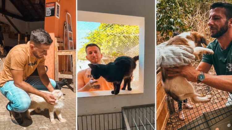 Castrações, microchipagem e testes FIV/FELV: Elton Carvalho destina recursos para ONG ASA em São Carlos