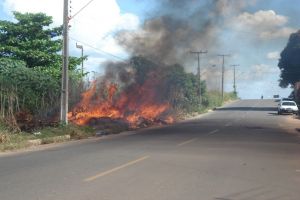 Departamento de Fiscalização alerta população sobre queimadas em terrenos particulares