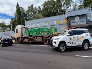 Polícia Militar Rodoviária e Polícia Civil apreendem 1,7kg toneladas de maconha em Pirapozinho