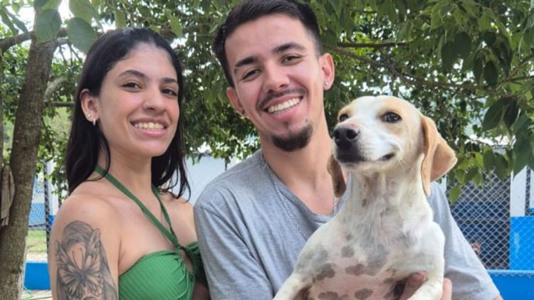 Feira de adoção garante novos lares para 10 animais em São Carlos
