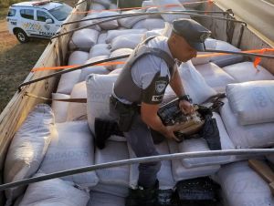 PM Rodoviária apreende mais de 2,5 toneladas de maconha