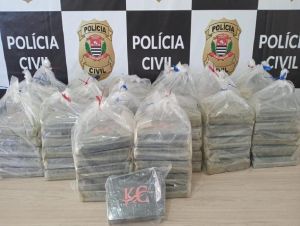 Polícia Civil prende homem com 100 kg de cocaína em Registro