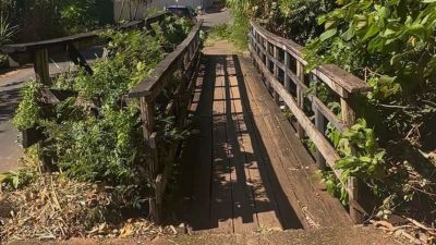 Jùlio Cesar solicita revitalização de pontes em São Carlos