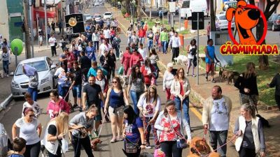 Neste domingo tem cãominhada na Rua Larga