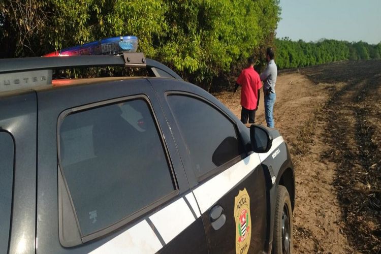 Sobe para 10 o número de detidos por causar incêndios em vegetação no interior do Estado