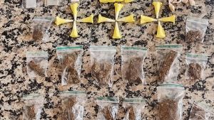 Suspeito foge ao ver viatura e drogas são localizadas em obra no Jardim Cruzado