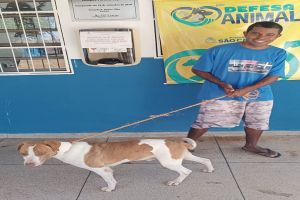 Sábado tem feira de adoção Pet no canil municipal