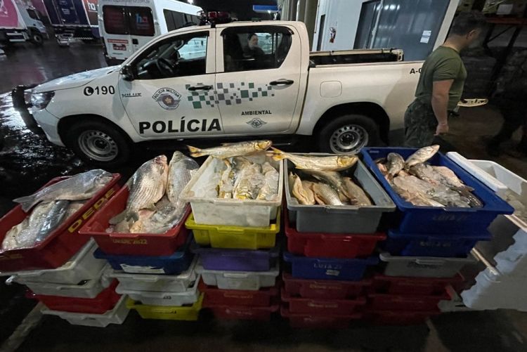 PM Ambiental apreende mais de 500 kg de peixes pescados ilegalmente em Barretos