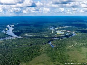 A importância da Amazônia na produção de energia limpa no Brasil