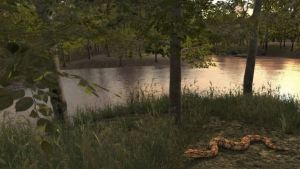 “Panorama Cerrado” - Jogo gratuito transforma usuários em exploradores do bioma mais ameaçado do Brasil