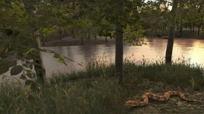 “Panorama Cerrado” - Jogo gratuito transforma usuários em exploradores do bioma mais ameaçado do Brasil